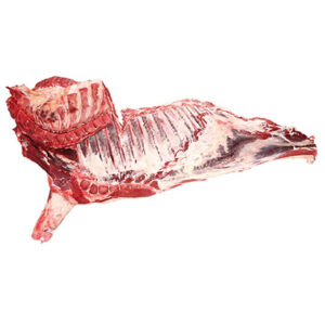 beef forequarters