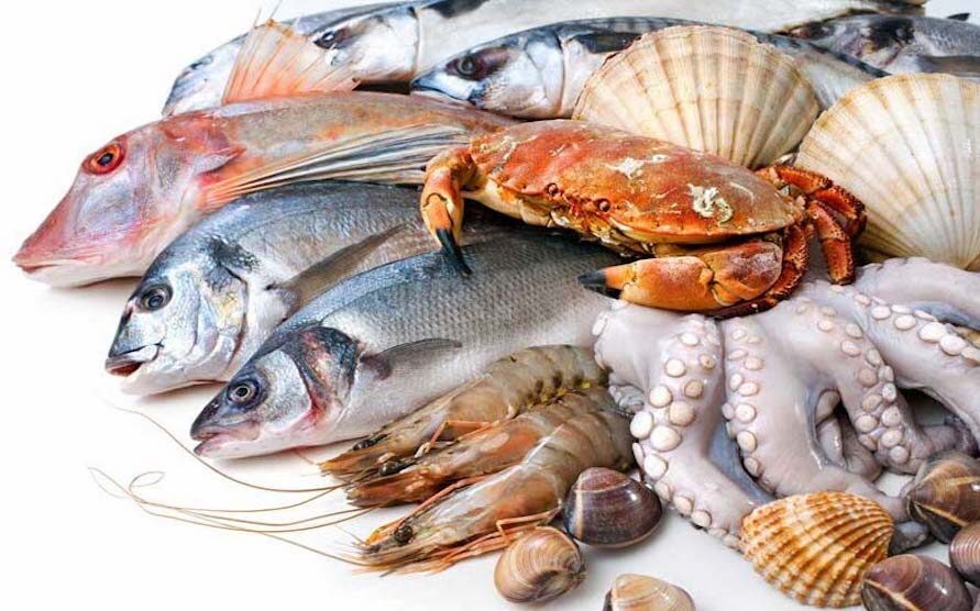 Fish and Seafood Suppliers