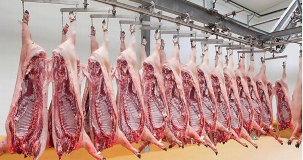 Pork Carcass Brazil